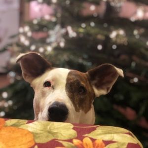 Meet your Posher, Kecia